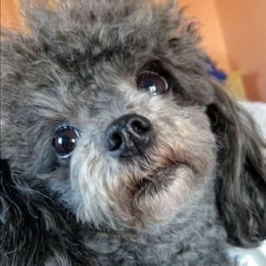 Meet your Posher, Madelyn